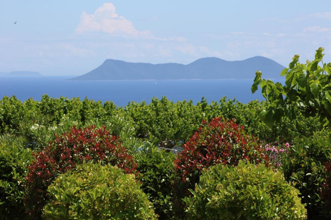 Pantheon & Danae Luxury Villas Sivota Eksteriør billede